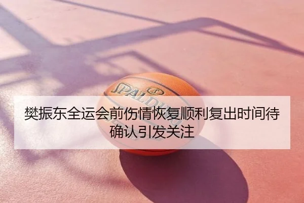 樊振东全运会前伤情恢复顺利复出时间待确认引发关注